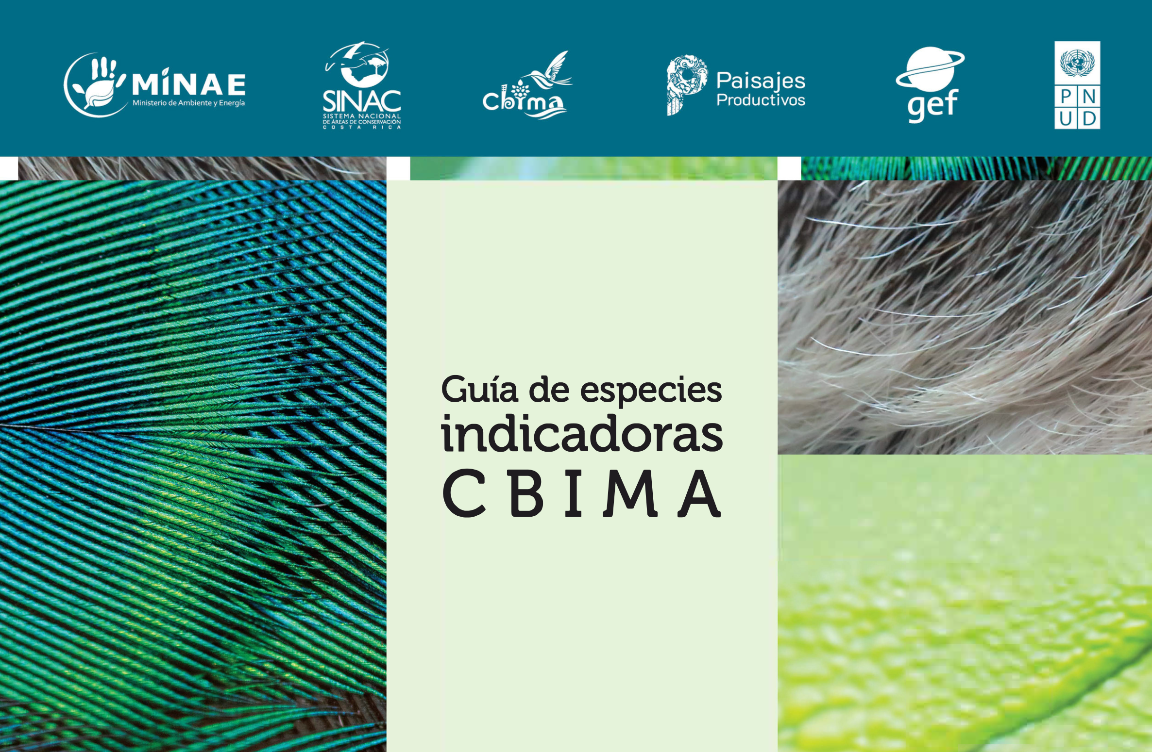 Guía de Aves - Especies Indicadoras - CBIMA
