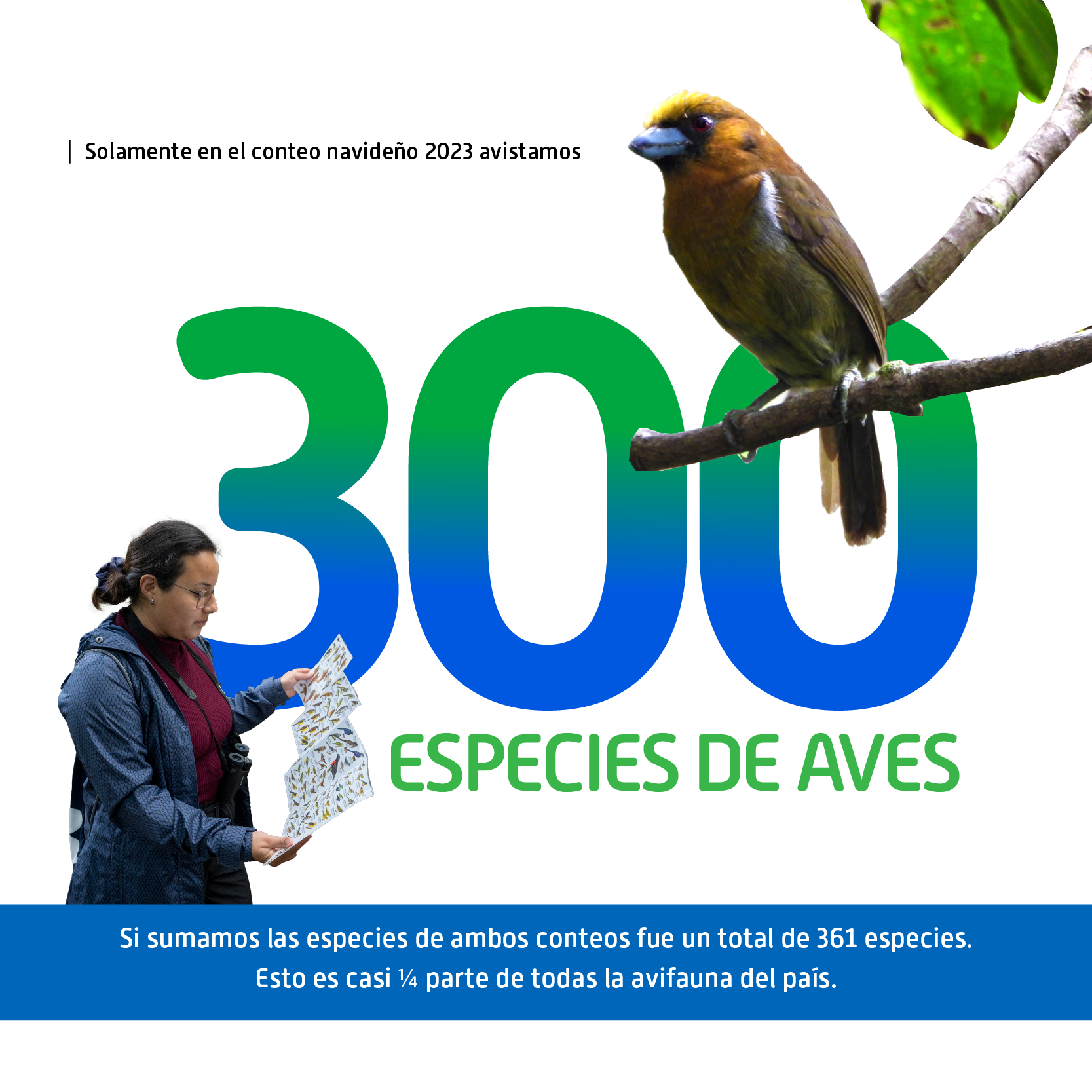 300 especies de aves registradas