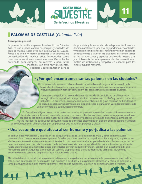  Ficha palomas de Castilla