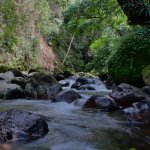 Aumento del caudal de los ríos por las lluvias.